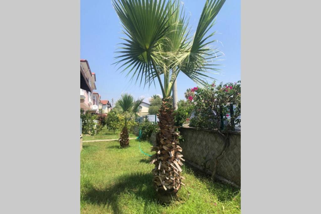 הוילה פאטהיה Peaceful House מראה חיצוני תמונה